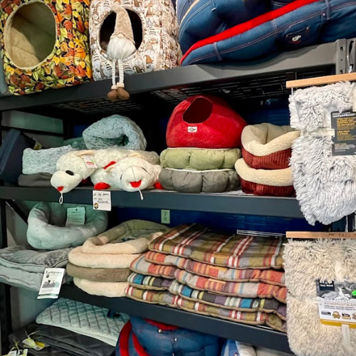 Toys and supplies inside of ShakaPaw Pet Market