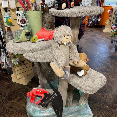 Toys and supplies inside of ShakaPaw Pet Market