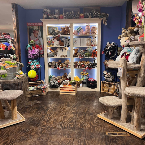 Toys and supplies inside of ShakaPaw Pet Market.