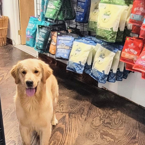 Treats and supplies inside of ShakaPaw Pet Market with a Golden Retriever standing next to them.