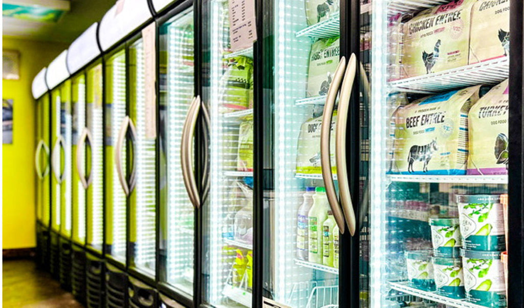 Nutritional Deficiencies in Dogs