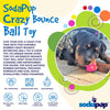 SodaPup Crazy Bounce Ultra Durable Rubber Chew & Retrieving Dog Toy