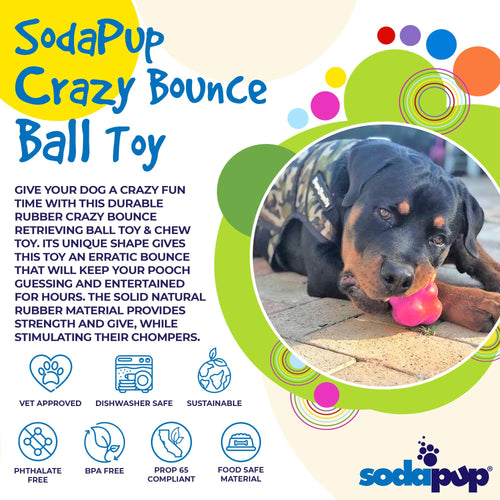 SodaPup Crazy Bounce Ultra Durable Rubber Chew & Retrieving Dog Toy