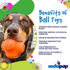 SodaPup Crazy Bounce Ultra Durable Rubber Chew & Retrieving Dog Toy