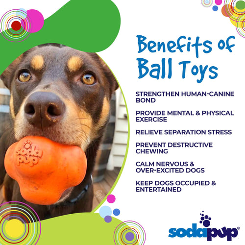 SodaPup Crazy Bounce Ultra Durable Rubber Chew & Retrieving Dog Toy