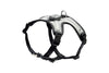 RC Pet Nova LED Light Harness