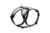 RC Pet Nova LED Light Harness