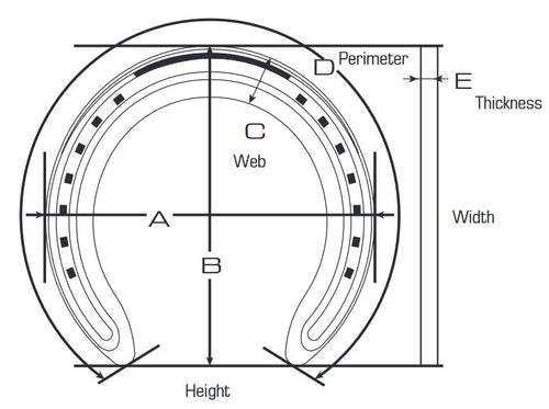 Centaur St. Croix Clipped Eventer Front Shoes Quarter Clipped