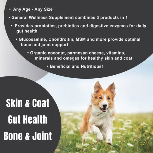 Nature's Farmacy Dogzymes Complete