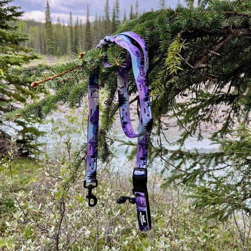 Rocky Mountain PNW All Mountain Dog Leash