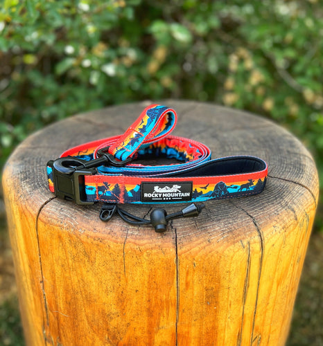 Rocky Mountain Banff All Mountain Dog Leash