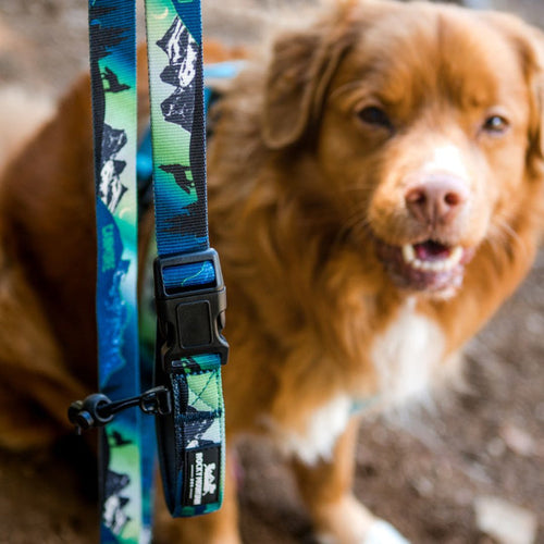 Rocky Mountain V2 Canmore All Mountain Dog Leash