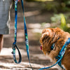 Rocky Mountain V2 Canmore All Mountain Dog Leash