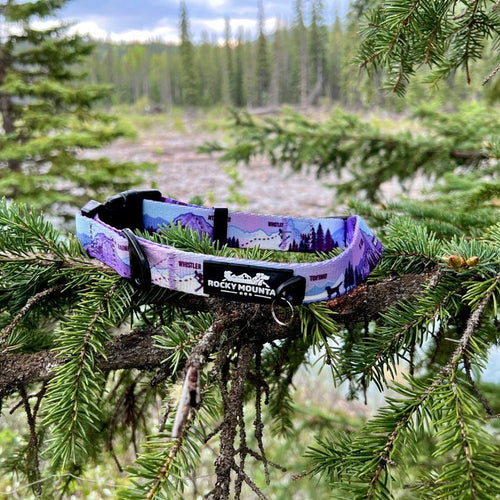 Rocky Mountain PNW Alpine Dog Collar