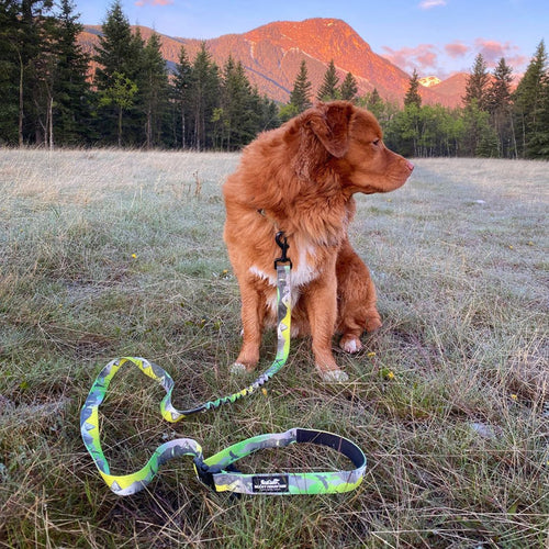 Rocky Mountain Kootenay All Mountain Dog Leash