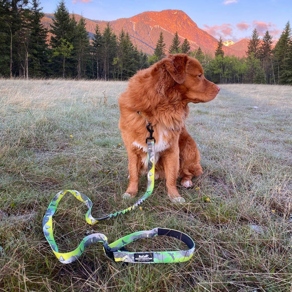 Rocky Mountain Kootenay All Mountain Dog Leash