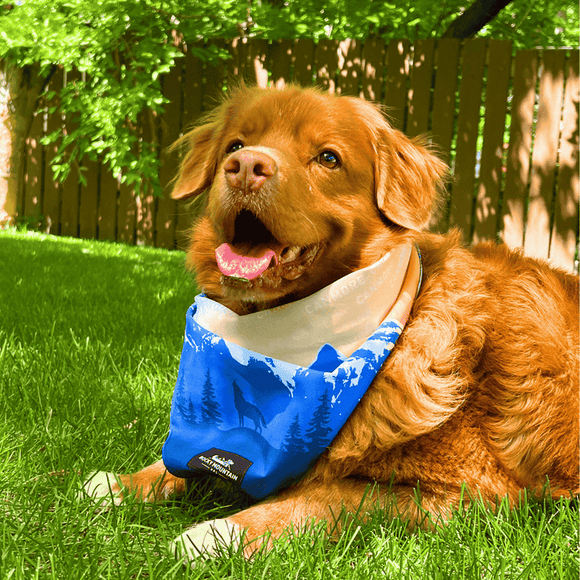 Rocky Mountain Canmore Three Sisters Bandana
