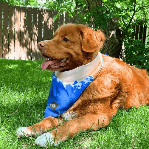 Rocky Mountain Canmore Three Sisters Bandana