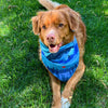 Rocky Mountain Kootenay Bandana for Dog