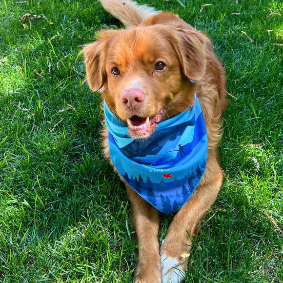 Rocky Mountain Kootenay Bandana for Dog