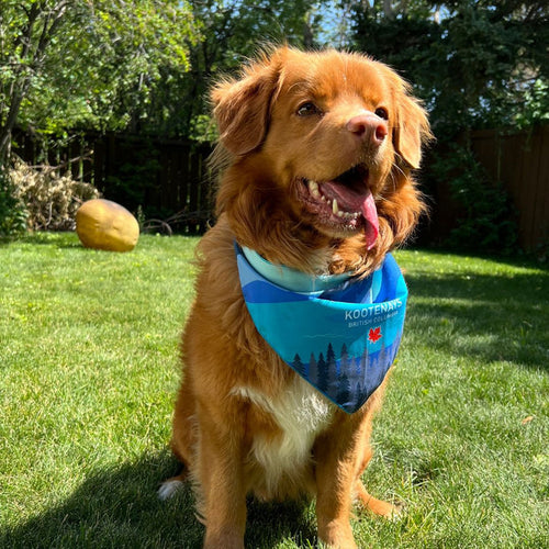 Rocky Mountain Kootenay Bandana for Dog