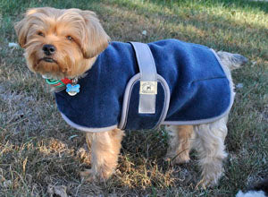 Foggy Mountain Snuggler Fleece Dog Coats