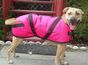 Foggy Mountain Nylon Dog Coats-Turnouts