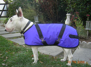 Foggy Mountain Nylon Dog Coats-Turnouts