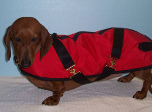 Foggy Mountain Nylon Dog Coats-Turnouts