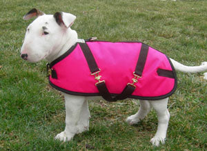 Foggy Mountain Nylon Dog Coats-Turnouts