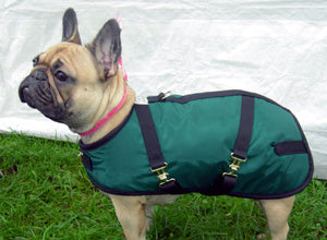 Foggy Mountain Nylon Dog Coats-Turnouts