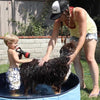 Barking Buddha Buddha Bubbles Organic Shampoo (16 oz. Bottle) for Dogs of All Sizes and Puppies Too!