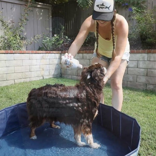 Barking Buddha Buddha Bubbles Organic Shampoo (16 oz. Bottle) for Dogs of All Sizes and Puppies Too!