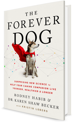 The Forever Dog Surprising New Science To Help Your Canine Companion Live Younger, Healthier, and Longer