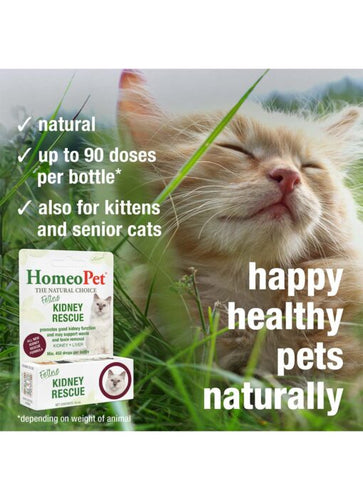 HomeoPet Feline Kidney Rescue