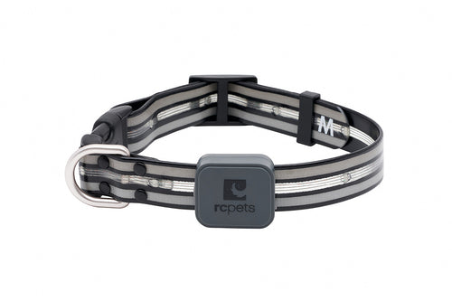 RC PETS Nova LED Light Collar