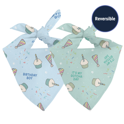 Birthday Boy & Gotcha Day Dog Bandana