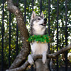 Midlee St. Patrick's Day Shamrock Decorative Dog Collar