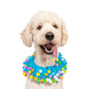 Midlee Blue Birthday Pom Pom Dog Collar