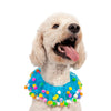 Midlee Blue Birthday Pom Pom Dog Collar