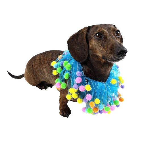 Midlee Blue Birthday Pom Pom Dog Collar