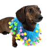 Midlee Blue Birthday Pom Pom Dog Collar