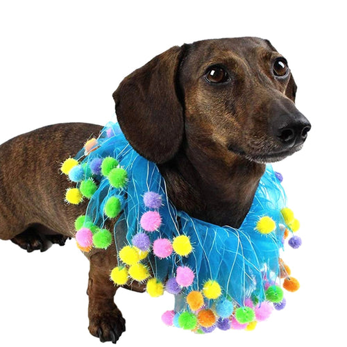Midlee Blue Birthday Pom Pom Dog Collar