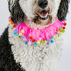 Midlee Pink Birthday Pom Pom Dog Collar