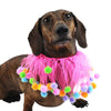 Midlee Pink Birthday Pom Pom Dog Collar