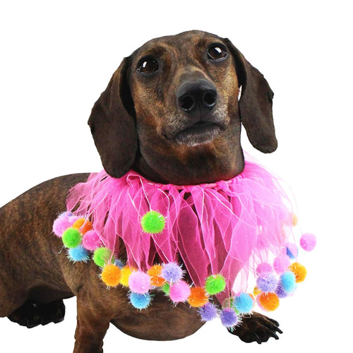 Midlee Pink Birthday Pom Pom Dog Collar