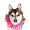 Midlee Pink Birthday Pom Pom Dog Collar