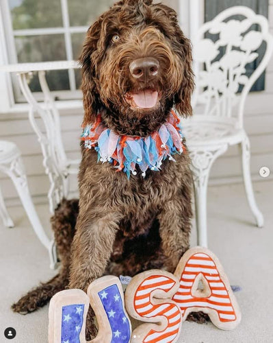 Midlee 4th of July Decorative Dog Bell Collar