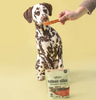Polkadog Polkadog Salmon Skins Shorties for Dogs and Cats Treats