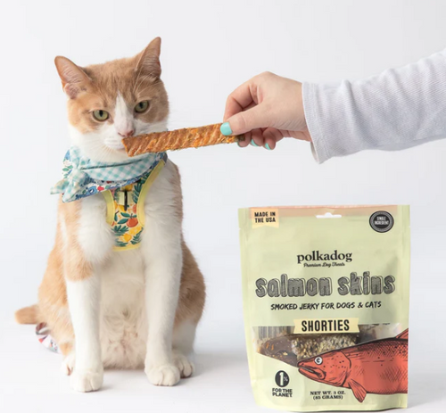 Polkadog Polkadog Salmon Skins Shorties for Dogs and Cats Treats
